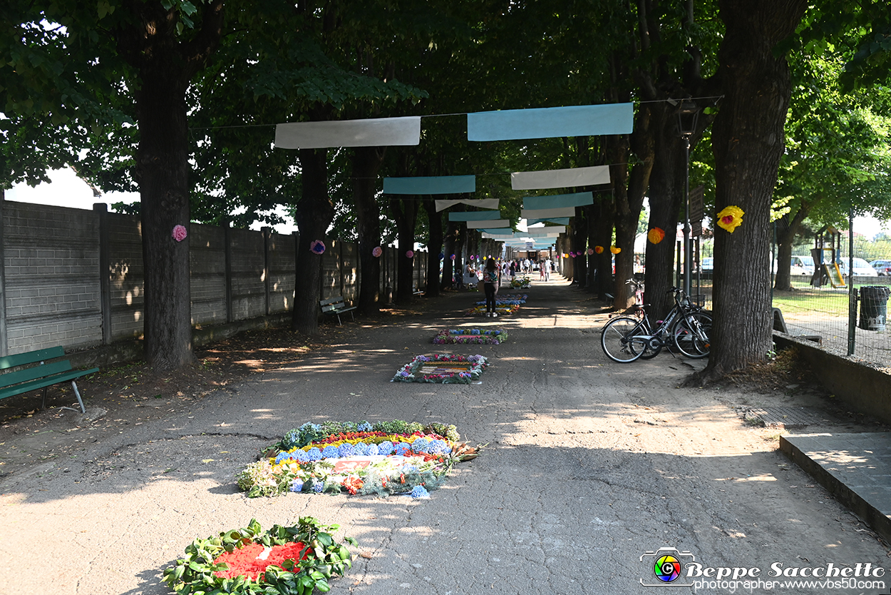 VBS_9882 - Infiorata Santuario della Madonnina di Villanova d'Asti 2024.jpg